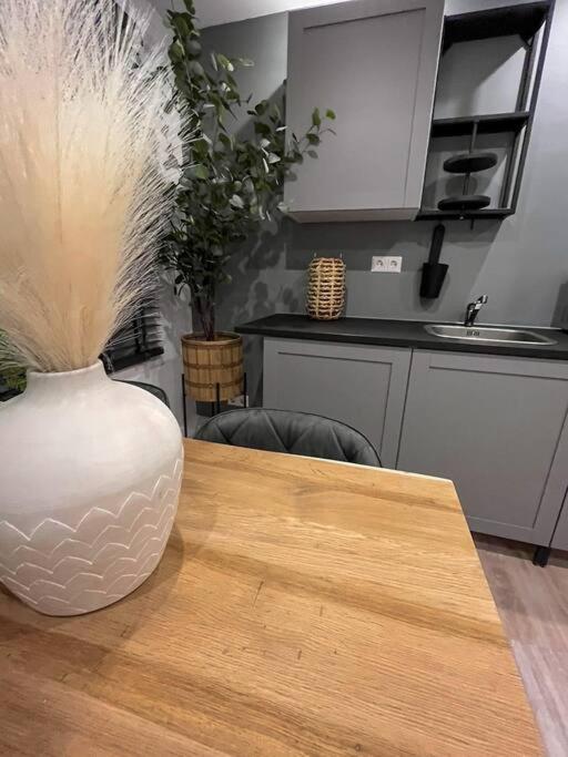Gezellig Appartement, Gerenoveerd Eind 2022 Tilburg Eksteriør bilde